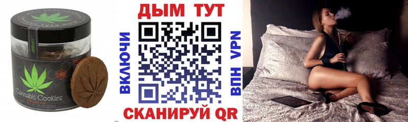 где продают наркотики  Новокубанск  Еда ТГК марихуана 