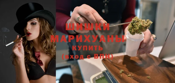 альфа пвп Медвежьегорск
