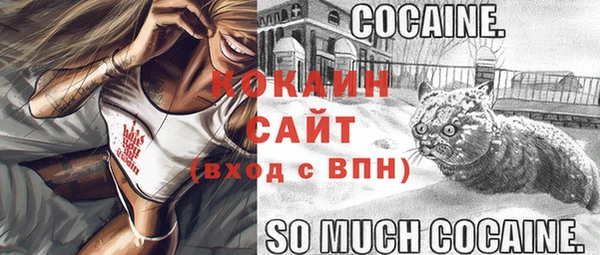 альфа пвп Медвежьегорск