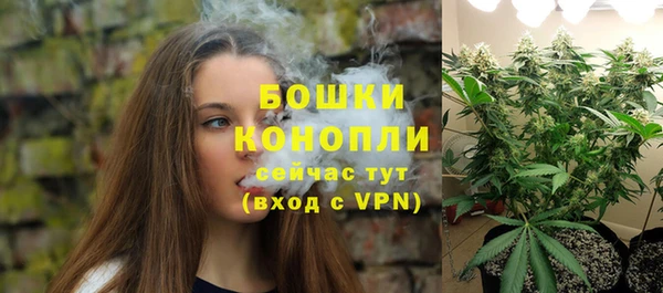 соль ск Артём