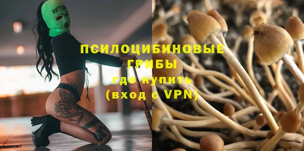 альфа пвп Медвежьегорск