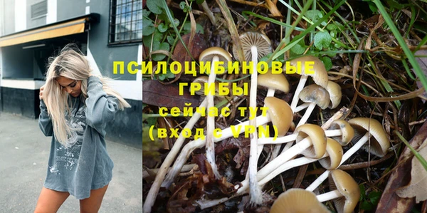 молекула духа Мегион