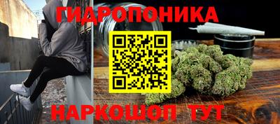 ECSTASY Свободный