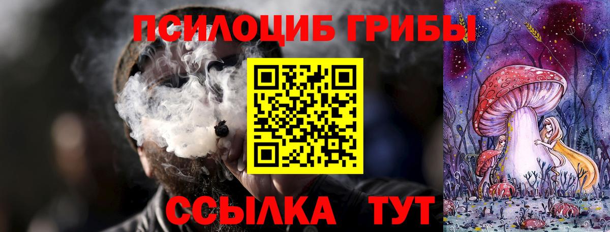 Новокубанск  Галлюциногенные грибы ЛСД  Галлюциногенные грибы прущие грибы  Вход с VPN 