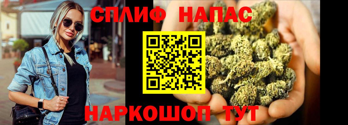 A PVP Новокубанск